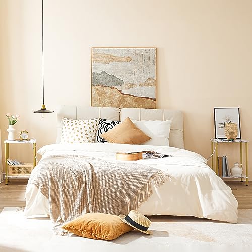 HOOBRO Side Table with Charging Station, Set of 2 End Tables with USB Port and Outlet, Nightstand with 2-Layer Storage Shelves for Small Spaces, Living Room, Bedroom, Gold and Marble DM09UBZP201 - color: Marble + Gold