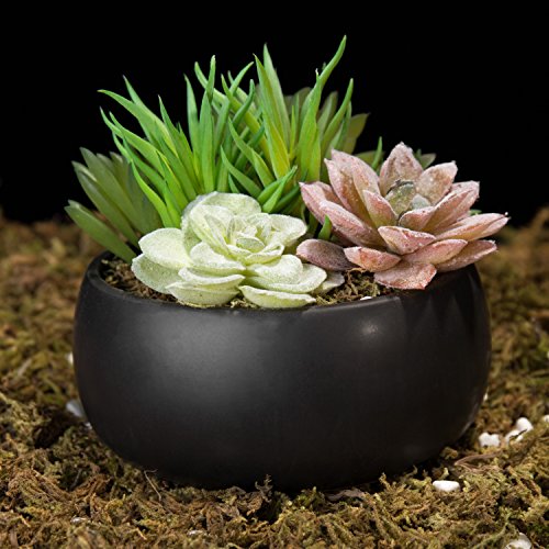 MyGift Mini Artificial Succulent in Pot, Fake Plant Arrangement in Black Ceramic Planter Bowl - color: Black