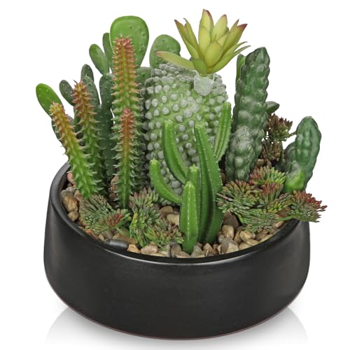 DILATATA Artificial Cactus Plants in Pot 5.5 Inch Fake Succulents Arrangement Potted Plant in Black Ceramic Planter Bowl for Home Office Desk Shelf Living Room Bedroom Bathroom Decor - color: Black Ceramic#style 1