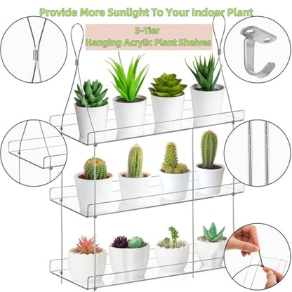 Tlence 3-Tier Window Plant Shelves, Hanging Acrylic Plant Shelf for Indoor, Clear Window Shelf for Plants, Height Adjustable Flower Display Stand, Succulent Pot Organizer for Herbs Microgreens