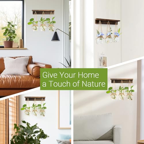XXXFLOWER Wall Hanging Propagation Station with 3 Star-Shaped Glass Vase | Hanging Plant Holder for Hydroponics, Living Room Office Bathroom Wall Decoration, Unique Gardening Gifts for Plant Lover - size: 3 Star-Shaped Glass Vases