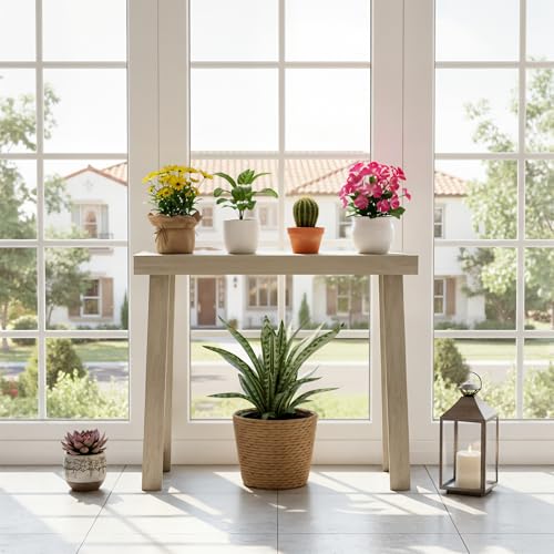 Plank+Beam Classic Console Table, 36 Inch, Seashell | Non-Toxic Finishes, Versatile Design, Elegant Details, Easy Assembly, Quick Setup, Solid Wood - color: Seashell, size: 36" Console Table