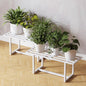 2-Pack Elegant Mid-Century Modern Metal Tiered Plant Stand Robust 330 lbs Capacity Versatile Indoor Outdoor Display for Living Room, Patio & Balcony White - color: 1 Tier White