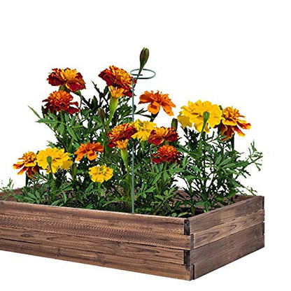 Plant Stake Support - 6 Pack, Garden Single Stem Support Stake Plant Cage Support Rings, Single Stem Plant Support Stakes, Plant Twist Ties, for Flowers Amaryllis Tomatoes Peony Lily Rose (15.9 inch) - size: 15.9inch