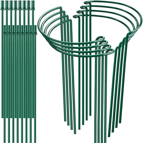 8 Pack 32 or 16 inch Adjustable Plant Support Stakes, Heavy-Duty Half Round Peony Support, Garden Plant Stakes Cage for Outdoor Plants, Peony, Tomato, Hydrangea, (16In Support +16In Extension Tubes) - size: 10"W x31.8"H