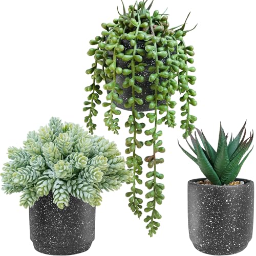 Winlyn 3-Pack Artificial Potted Succulent Plants - Aloe, Hops, String of Pearls - Realistic Faux Plants in Black Cement Pots - Modern/Contemporary Style - Ideal for Home Office Bathroom Indoor Decor - color: Black
