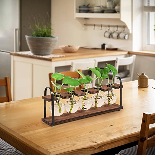 THYGIFTREE Plant Propagation Stations with Wooden Stand | Desktop Retro Plant Terrarium, Bulb Vase for Indoor Hydroponic Flowers, Tabletop Glass Planter - color: Dark Brown