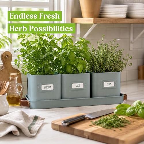volila Herb Planter Indoor - Set of 3 Teal Blue Indoor Herb Garden Pots for Plants with Leather Handled Tray - Window Sill Plant Shelf - Herb Pots with Drainage Holes and Labels - color: Teal Blue