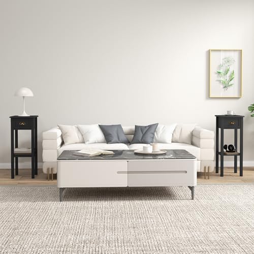HOMCOM Narrow End Table with Drawer and Bottom Shelf, Slim Side Table for Small Spaces, Skinny Modern Accent Desk for Living Room, Set of 2, Black - color: Black