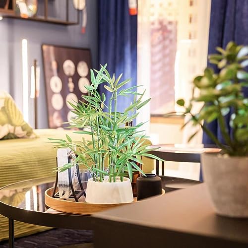 365 Blooming Decor 18 inch Tall White Potted Artificial Bamboo Plant- Luxury Artificial Bamboo Tree in White Pot for Home, Office, Kitchen, Counter Top, Indoor Decor, Money Tree, Lucky Tree.