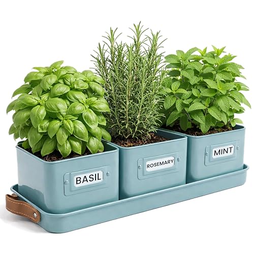 volila Herb Planter Indoor - Set of 3 Teal Blue Indoor Herb Garden Pots for Plants with Leather Handled Tray - Window Sill Plant Shelf - Herb Pots with Drainage Holes and Labels - color: Teal Blue