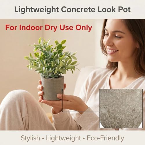 AUUGUU Artificial Potted Plants Faux Greenery in Cement Pots for Shelf, Bookshelf, Office or Home Decor, Small Decorative Fake Plants for Modern Indoor Display
