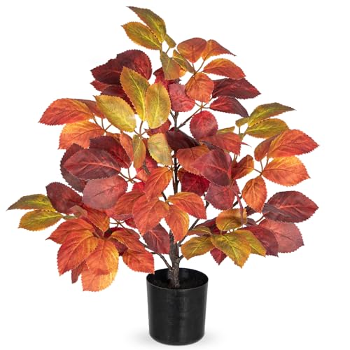 Briful 19.7" Fake Fall Tree in Black Pot, Autumn Small Artificial Beech Leaf Tree Faux Plants Indoor for Home Office Room Tabletop Mantel Thanksgiving Decor - color: Beech