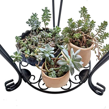 CASIMR 2-Pack Plant Stand, 2 Tier 19.2 inch Tall Metal Potted Holder Rack,Indoor Outdoor Multiple Flower Pot Shelf Rustproof Iron Garden Container for Garden Patio Living Room Corner Balcony, Black