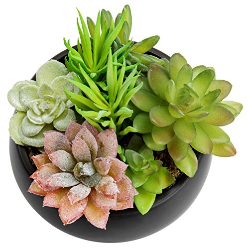 MyGift Mini Artificial Succulent in Pot, Fake Plant Arrangement in Black Ceramic Planter Bowl - color: Black