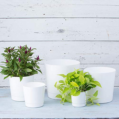 Novelty Majestic Full Depth Round Cylinder Pot, Glossy White, 6-Inch (10062) - color: White, size: 6 Inch