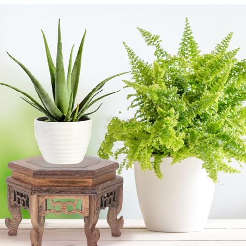 Cabilock Hexagonal Table Base Wooden Plant Stand Chinese Style Flower Pot Display Rack Teapot Stand for Bonsai Vases Planters 5.1X5.1X3.5 Inch