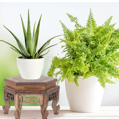 Cabilock Hexagonal Table Base Wooden Plant Stand Chinese Style Flower Pot Display Rack Teapot Stand for Bonsai Vases Planters 5.1X5.1X3.5 Inch