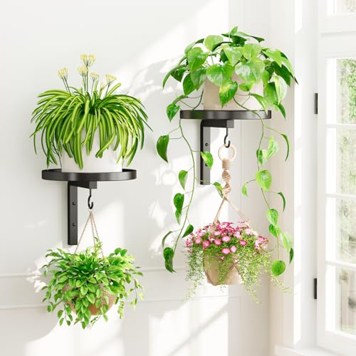iDavosic.ly Plant Wall Hanger Holder Set of 2 for Indoor Outdoor, Black | Metal Floating Flower Display Stand for Window with 2 Hooks, Space Saving, Easy to Assemble (Pots/Chains/Plants Not Included) - color: Black, size: 2 Pack
