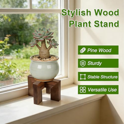 Wood Plant Stand Indoor Outdoor, Mid Century Modern Planter Holder, Sturdy Plant Pot Stand, Single Floor Flower Pot Holder (Walnut, Fit 2.5-6 Inch Pots) - size: Fit 2.5-6 Inch Pots