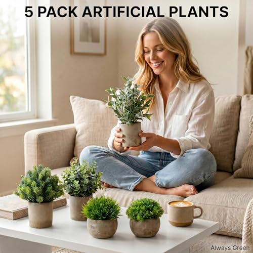 5 Pack Small Fake Plants with Cement Pots - Realistic Faux Greenery Set, No Watering Low Maintenance, UV Resistant Artificial Plants for Shelf Office Bathroom Desk Decor, Indoor & Outdoor