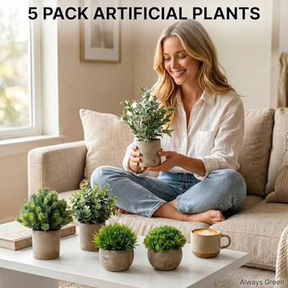 5 Pack Small Fake Plants with Cement Pots - Realistic Faux Greenery Set, No Watering Low Maintenance, UV Resistant Artificial Plants for Shelf Office Bathroom Desk Decor, Indoor & Outdoor