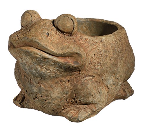 GROWSCAPE Cement Buddies Animal Planter - Cute Desk Decoration - UV Coated Animal Vase w/Drain Plug - Succulent Plant Pot for Indoor/Outdoor Use (Frog Planter, Rust, Small) - color: Rust, size: Small, style: Frog