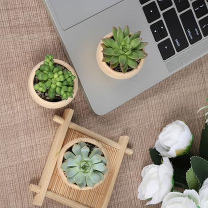 3PCS Wood Air Plant Holder, Rustic Style Airplant Display Stands, Air Plant Pots for Women Gifts Home Office Tabletop Decor