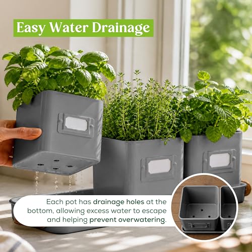 volila Herb Planter Indoor - Set of 3 Grey Indoor Herb Garden Pots for Plants with Leather Handled Tray - Window Sill Plant Shelf - Herb Pots with Drainage Holes and Labels - color: Charcoal Grey