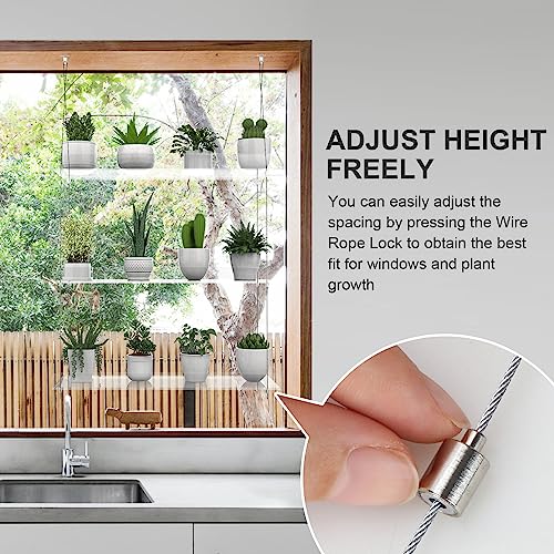 2-Pack 3-Tier Clear Acrylic Hanging Window Plant Shelves for Indoor Use | Wall-mounted plant shelves for herbs, seedlings, flowers and potted plants. Maximizes window space for indoor growing. - size: 2 Pack-3 Tier