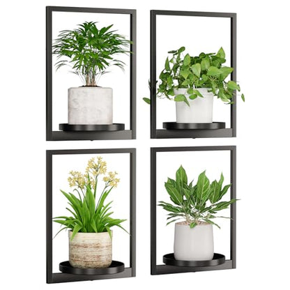 Hanging Planters for Indoor Plants - Aesthetic Photo Frame Style Wall Plant Holder - Metal Window Plant Shelves, Wall Plant Hanger for Lingving Room Home Gardening Wall Decor (4-Pack) - size: 4-Pack