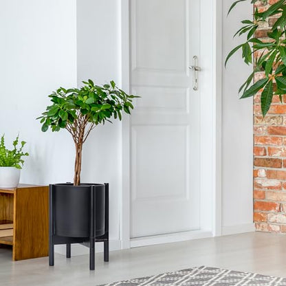 D'vine Dev Plastic Pot with Ebony Wood Stand, Black, 10 in, 55-C-N-2 | Mid-Century Inspired Design, Elevated Plant Display, Clean Lines, Sturdy Support, Modern Space-Saving Style - color: Matte Black Pot + Ebony Stand, size: 10 Inch