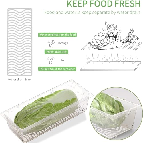 SILIVO Fruit Storage Containers for Fridge (3 Pack) - 1.5L Produce Saver Containers for Refrigerator with Removable Drain Tray Keep Fresh for Produce, Bacon, Fruits and Vegetables