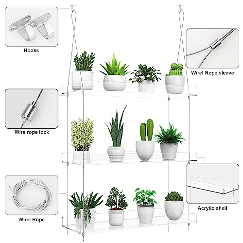 2-Tier Hanging Clear Plant Shelves for Windows,16 Inch per Tier | Acrylic Window Wall Plant Stand Shelf for Kitchen Indoor Gardens, Flower,Herb, Seedling Organization, and Pots Display. - size: 2 Tier