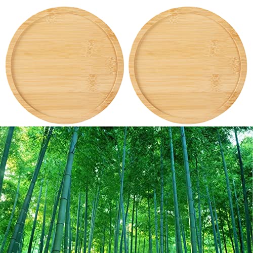 2 Pack 10" Bamboo Plant Saucer, Round Plant Pot Tray for Indoor Plants, Modern Brown Solid Style, Waterproof & Anti-Overflow - size: 10"
