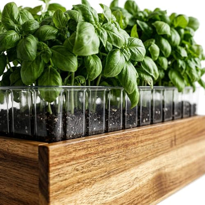 zaqro Indoor Planter Box Set of 2-17” x 4” Small Acacia Wood Window Sill Herb Planters - Rectangular Wooden Centerpiece Boxes with Liners - No Drain Holes - for Kitchen Tabletop Countertop