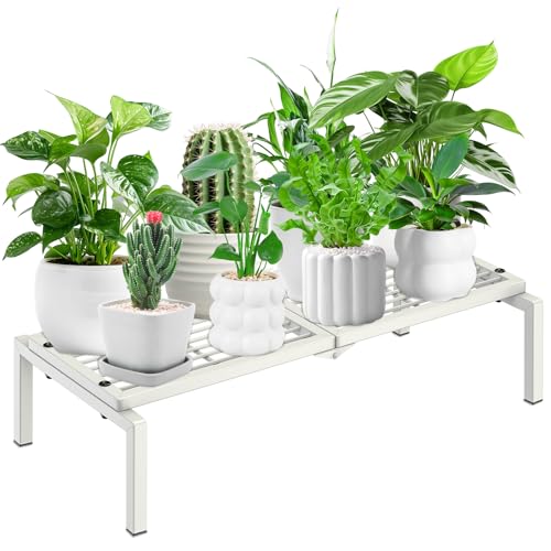 1 Tier Metal Plant Stand Indoor Outdoor, Potted Multiple Flower Pot Holder Rack Plant Shelf, Heavy Duty Planter Display Shelving for Patio Balcony Garden Living Room Decorative (White) - color: 1 Tier-White