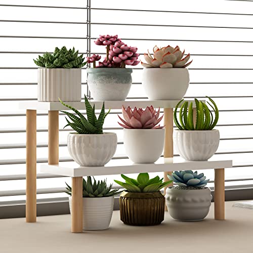 Small Plant Stand Indoor Ladder Shelf Desk, 2 Tiers Desktop Flower Stand Window Sill ,Wood Display Stand for Succulent Cupcake Spice Rack Countertop ( White, 14.2") - size: 2 Tiers