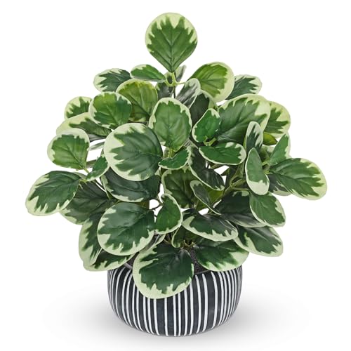 Villa Como 13" Artificial Plant Indoor Small Fake Plant in Oval Ceramic Pot | Silk Plants for Home Decor Indoor, Faux Peperomia Potted Plant for Shelves Desks Office Bedroom Entryway Tabletop Decor - color: #Green #1