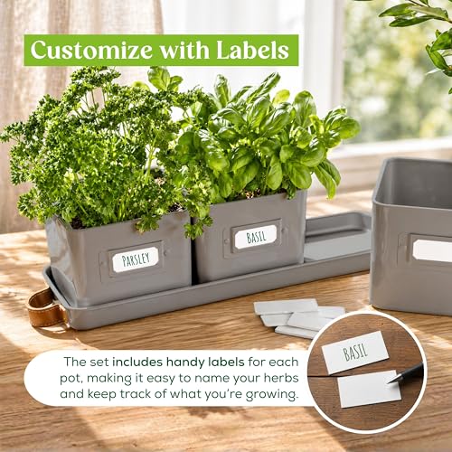 volila Herb Planter Indoor - Set of 3 Grey Indoor Herb Garden Pots for Plants with Leather Handled Tray - Window Sill Plant Shelf - Herb Pots with Drainage Holes and Labels - color: Charcoal Grey