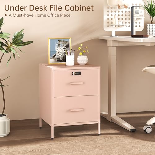 Steehoom Metal Nightstand with Lock, 2 Drawer End Side Table, Lockable Storage Cabinet Kids Cabinet for Living Room, Bedroom, Dorm, 21.26”H X 15.75”W X 15.75”D (2 Drawer, Pink) - color: Pink, style: 2 Drawer