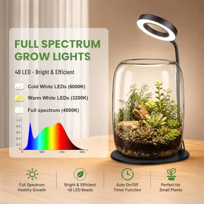 5X Aperture Grow Light for Indoor Plants, Full Spectrum Mini Desk Plant Light with Glass Terrarium, Height Adjustable LED Grow Lamp for Succulents, Moss & Home Office Gift - size: 5X