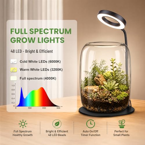 7X Aperture Grow Light for Indoor Plants, Full Spectrum Mini Desk Plant Light with Glass Terrarium, Height Adjustable LED Grow Lamp for Succulents, Moss & Home Office Gift - size: 7X