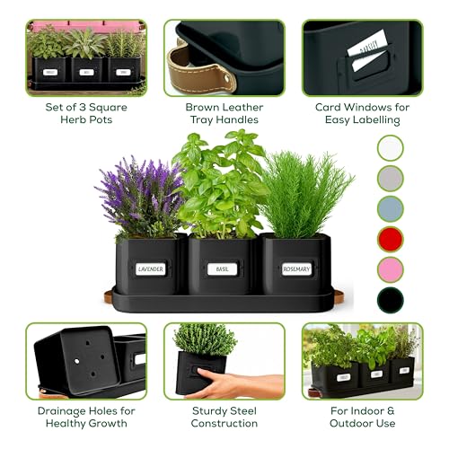 volila Herb Planter Indoor - Set of 3 Black Indoor Herb Garden Pots for Plants with Leather Handled Tray - Window Sill Plant Shelf - Herb Pots with Drainage Holes and Labels - color: Black