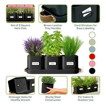 volila Herb Planter Indoor - Set of 3 Black Indoor Herb Garden Pots for Plants with Leather Handled Tray - Window Sill Plant Shelf - Herb Pots with Drainage Holes and Labels - color: Black