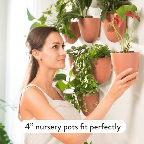 Make Good PlantPod Luxe - Self-Watering Wall Planters (Set of 6, Terracotta) - Easy to Water and Install - Lightweight - Design Your Own Vertical Garden - Wall Planters for Indoor Plants - color: Terracotta