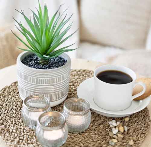 Kurrajong Farmhouse Artificial Plant | 8" Fake Plant for Desk Decor | Artificial Succulent in Pot | Fake Succulent | Faux Plant Indoor | Artificial Greenery for Shelf Decor