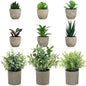 AUUGUU Artificial Potted Plants Faux Greenery in Cement Pots for Shelf, Bookshelf, Office or Home Decor, Small Decorative Fake Plants for Modern Indoor Display