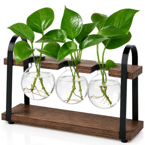 THYGIFTREE 3-Ball Plant Propagation Station with Wooden Stand, Brown Retro Glass Bulb Vase, Hydroponic Plant Cuttings Holder, Compact Desktop Decor for Office, Windowsill, Gift for Plant Lovers - color: Brown