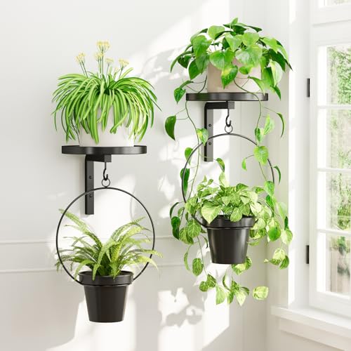 iDavosic.ly Plant Wall Hanger Set of 2 with 2 Metal Hanging Planters, Black | Floating Flower Display Holder Stand for Indoor Outdoor with 2 Hooks, Space Saving, Easy to Assemble (Plants Not Included) - color: Black with 2 Pots, size: 2 Pack